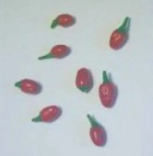 Bird Dung Pepper Seeds