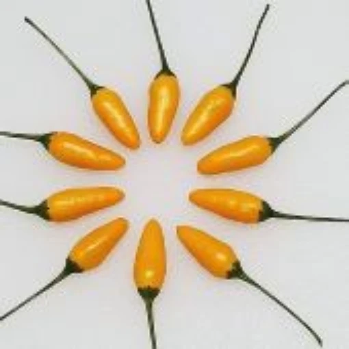 Bird's Eye Yellow Pepper Seeds