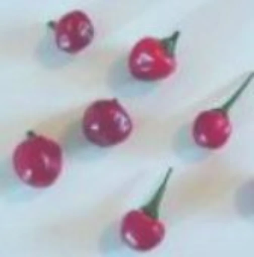 Black Cluster Hot Peppers HP32-20