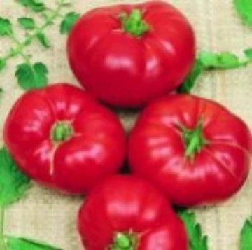 Box Car Willie Tomato Seeds