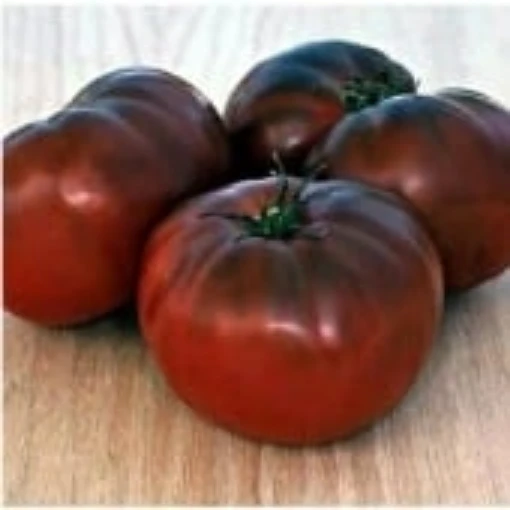 Brandywine Black Tomato TM19-20