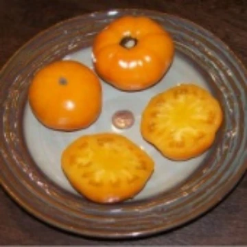 Brandywine Yellow Platfoot Strain Tomato Seeds