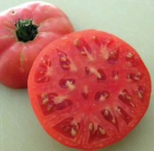 Brandywine Sudduth's Strain Tomato TM225-20