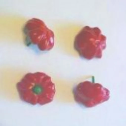 Brazilian Starfish Hot Peppers HP1469-10