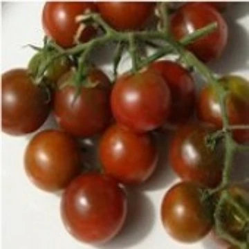 Brown Berry Tomato Seeds