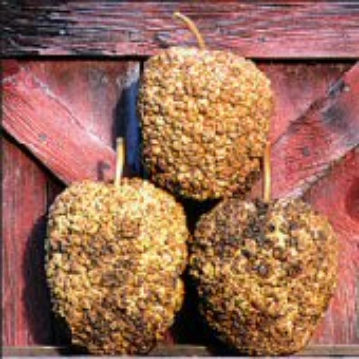 Bule Gourds GD9-10