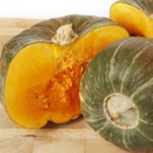 Burgess Buttercup Squash SQ3-20