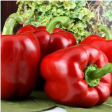 Cal Rose Red Pepper Seeds