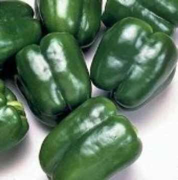 Camelot Pepper Seeds