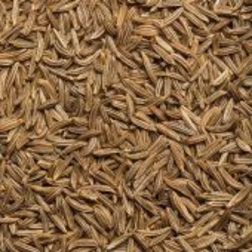 Caraway Seeds
