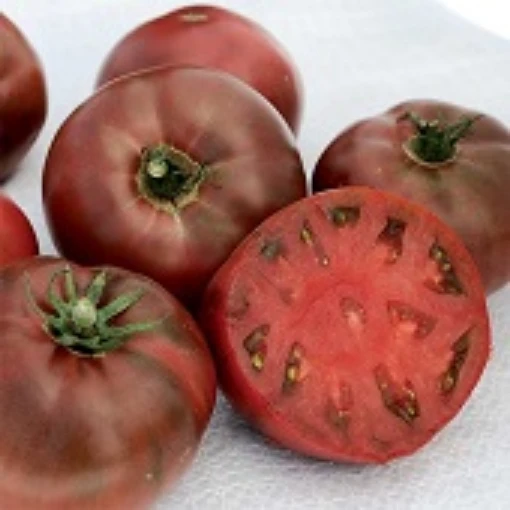 Carbon Tomato