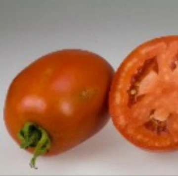 Casa del Sol Tomato Seeds