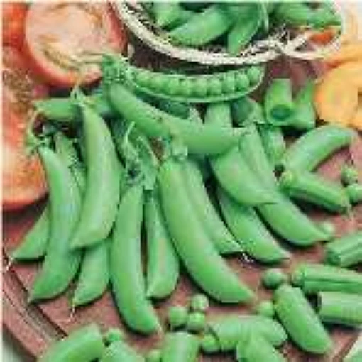 Cascadia Snap Peas PE1-50