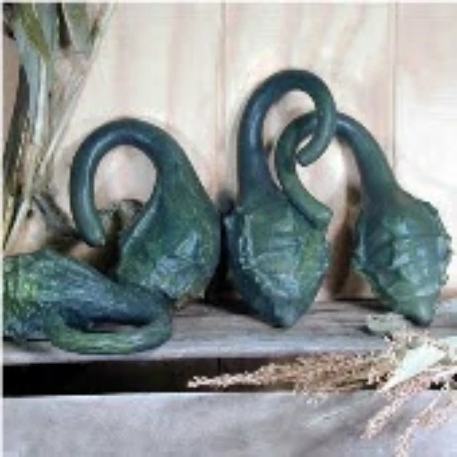 Caveman's Club Maranka Gourds GD19-10