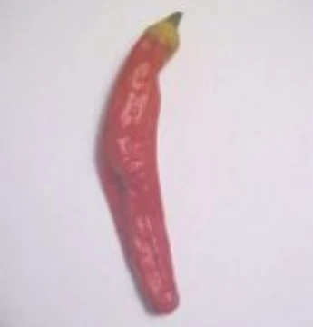 Charleston Hot Pepper Seeds