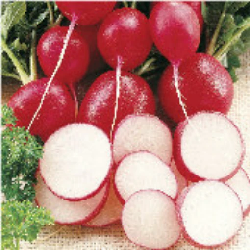 Cherriette Radishes RD14-50