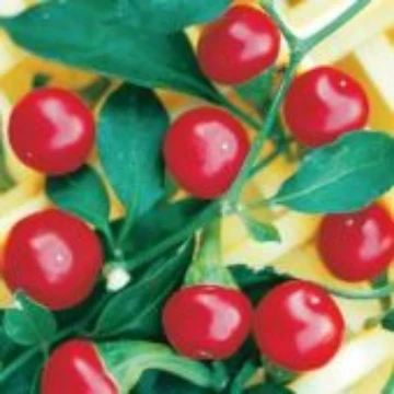 Ciliegia Picante Pepper Seeds