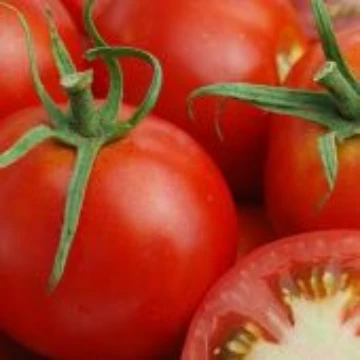 Colonial Tomato Seeds