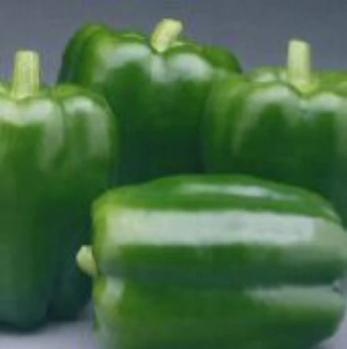 Commandant Sweet Peppers SP246-10