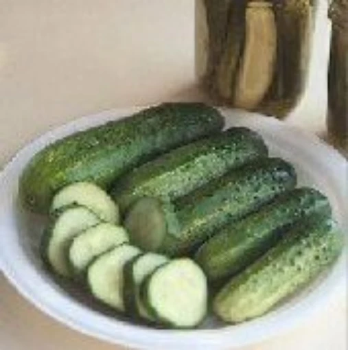 County Fair Cucumbers CU78-20