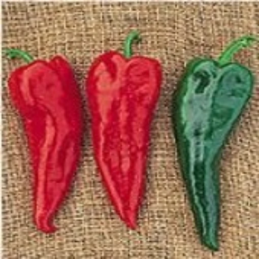 Crimson Hot Peppers HP64-20