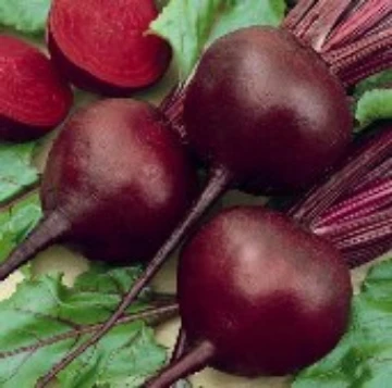 Detroit Dark Red Beet Seeds