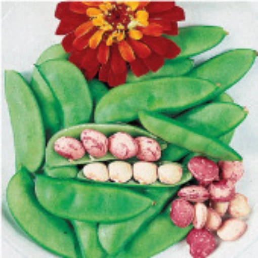 Dixie Speckled Butterpea Beans BN62-50