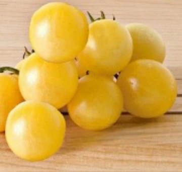 Dr Carolyn Tomato Seeds