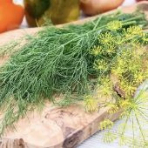 Dukat Dill HB171-100