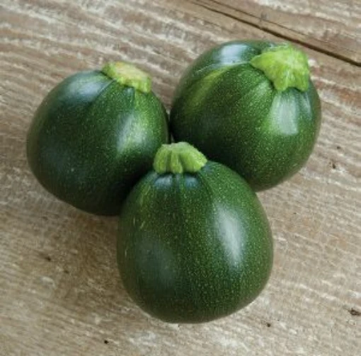Eight Ball Squash SQ34-10