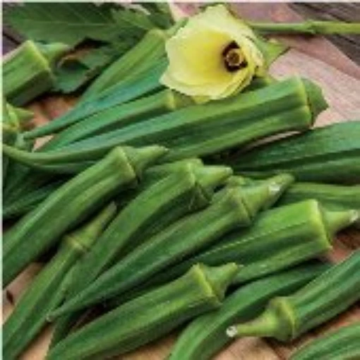 Emerald Okra OK5-20