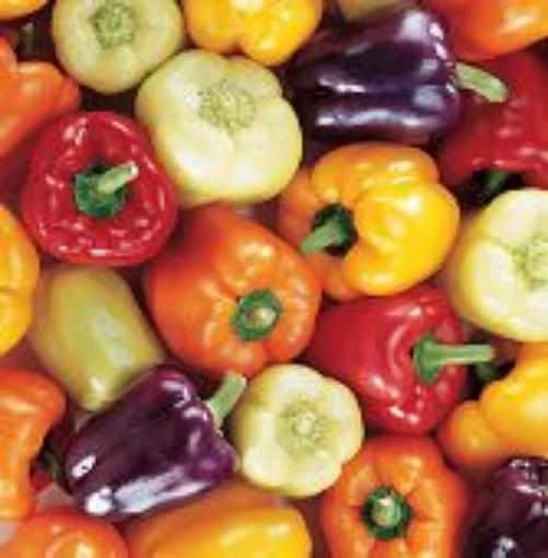 European Mix Sweet Peppers SP237-20