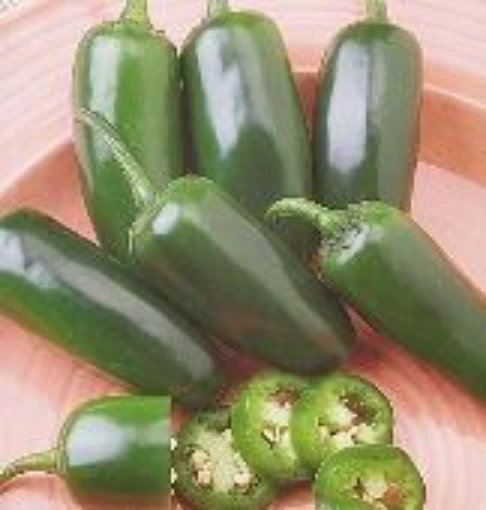 Fooled You Jalapeno Peppers HP290-10