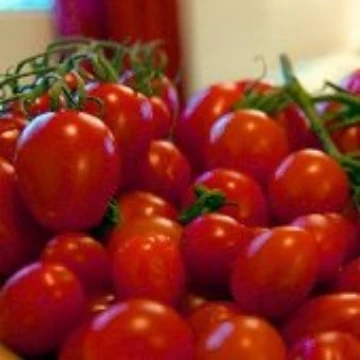 Gabrielle Tomato Seeds