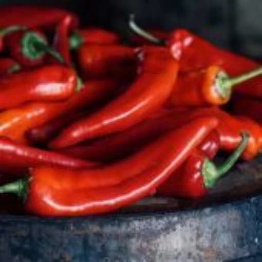 Goat Horn Hot Peppers HP90-20