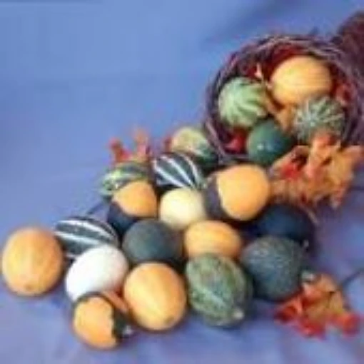 Goblin Eggs Gourds (Mixed) GD47-10