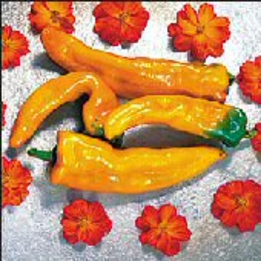 Golden Treasure Hot Peppers HP1998-20