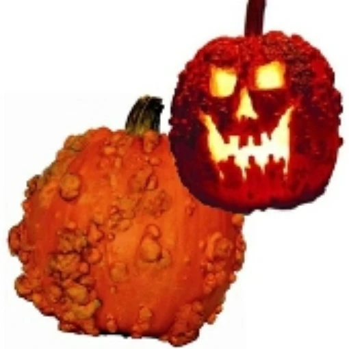 Goose Bumps Pumpkins PM48-10
