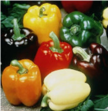 Gourmet Rainbow Mix Pepper Seeds