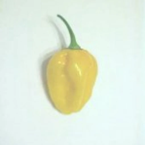 Grenada Seasoning Hot Peppers HP1273-10
