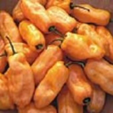 Peach Habanero Pepper Seeds