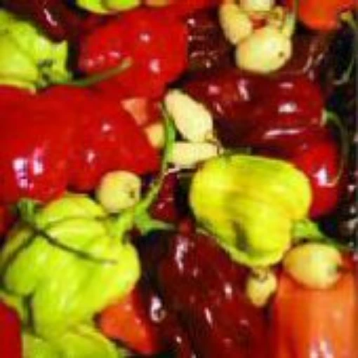 Habanero Mix Hot Peppers HP1995-10