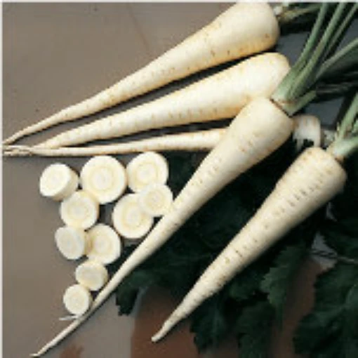 Harris Model Parsnips PS2-100