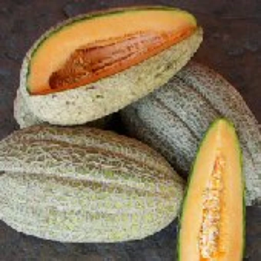 Healy's Pride Melons CA62-20