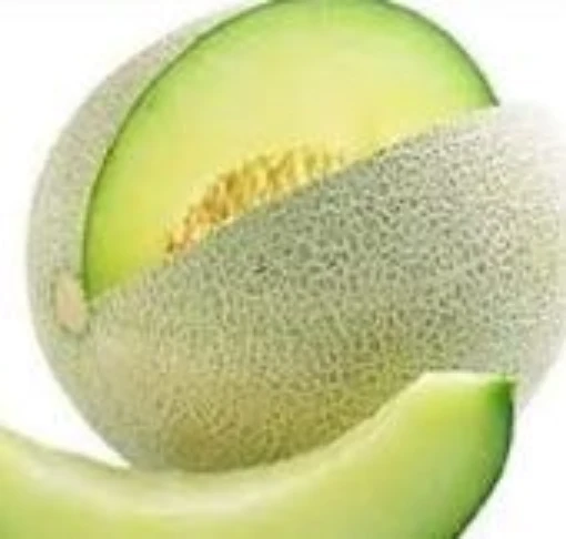 Honey Dew Melons (Green) CA4-20