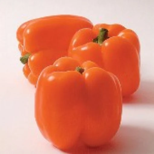 Horizon Sweet Peppers SP245-20