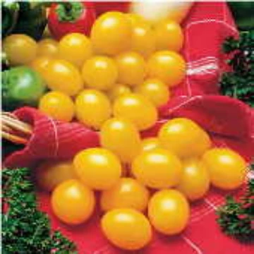 Ildi Tomato Seeds