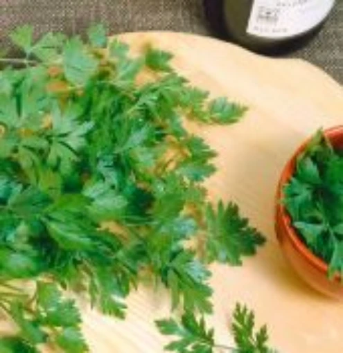 Italian Dark Green Parsley HB57-100