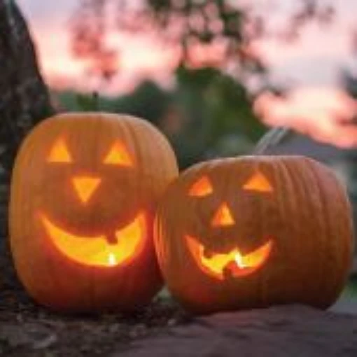 Jack O Lantern Pumpkins PM7-10