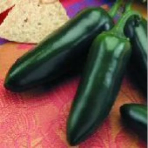 Jalapeno Goliath Peppers HP1071-10